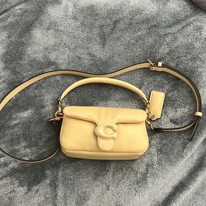 coach pillow tabby 18